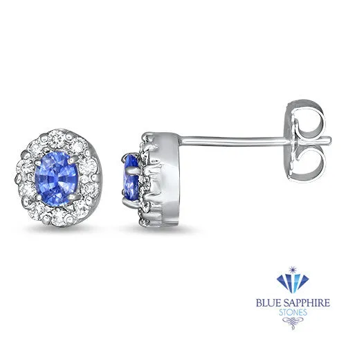 0.77ctw Oval Blue Sapphire Earrings with diamond halo in 14K White Gold