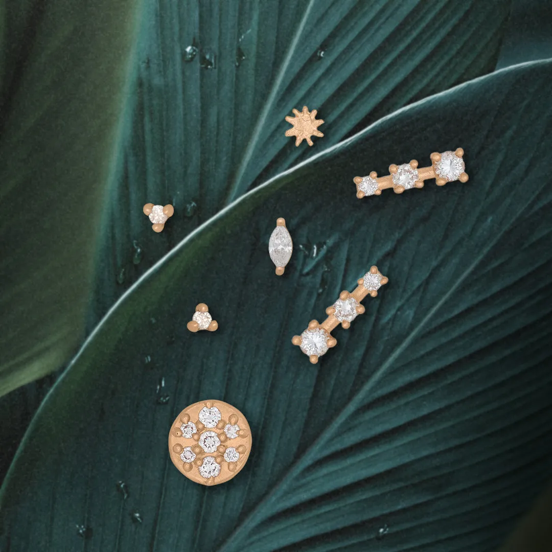 Ara Earrings