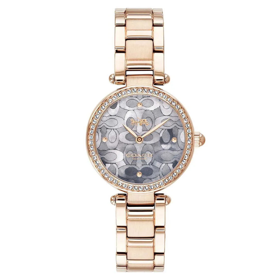 Coach  Park Multi Color Dial Ladies Watch 14503226