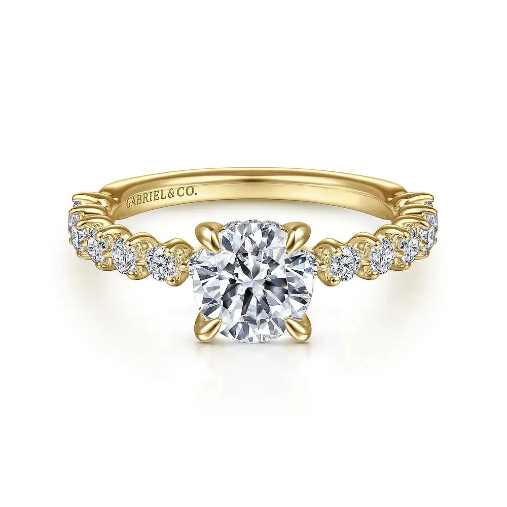 Hidden Halo Round Diamond Engagement Ring Mounting