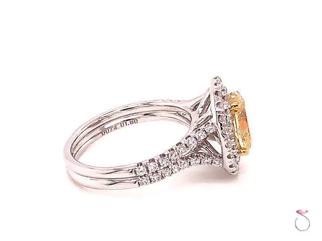Natural Fancy Yellow Oval Diamond Halo Ring, 18K White Gold 2.34 CTW