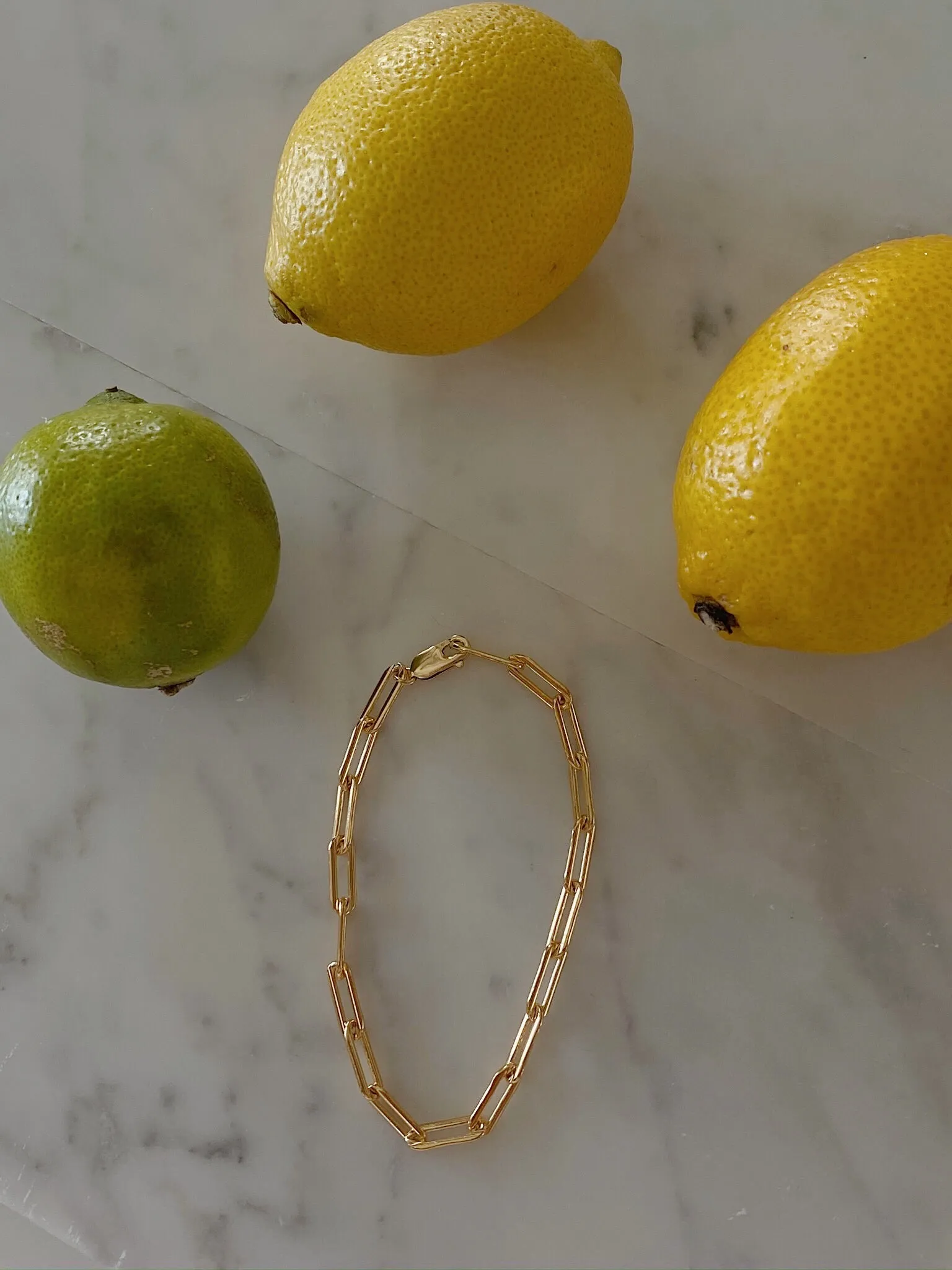 RAMY BIG LINK CHAIN LINK  - GOLD FILLED